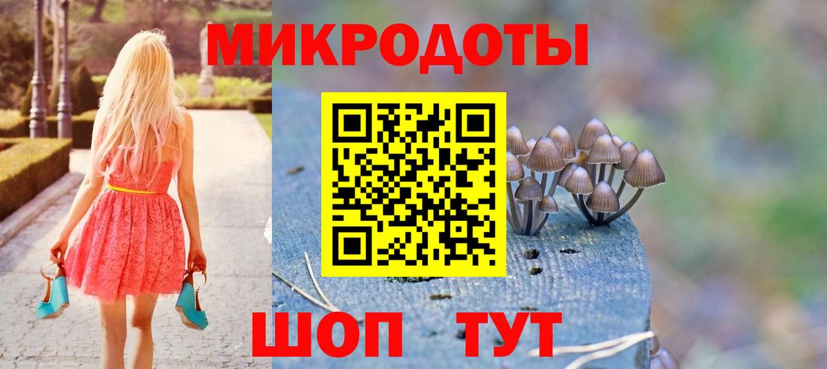 Псилоцибиновые грибы мицелий Хабаровск