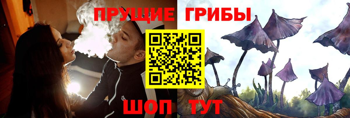 Галлюциногенные грибы Psilocybine cubensis  Вход с VPN  где можно купить наркотик  Хабаровск 